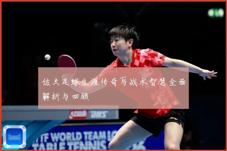 佐夫足球生涯传奇与战术智慧全面解析与回顾