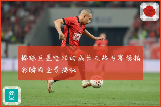 棒球巨星哈珀的成长之路与赛场精彩瞬间全景揭秘